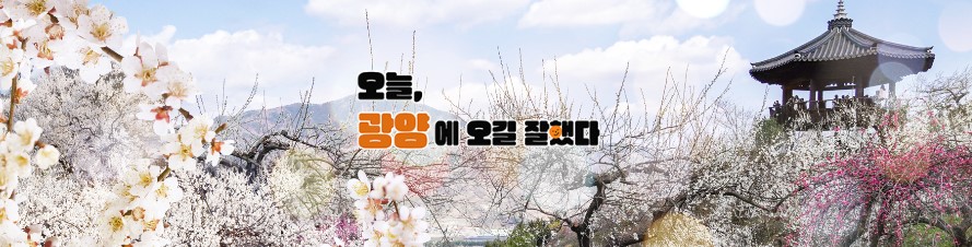 광양 맛집 베스트 10 현지인추천 광양매화축제 삼대광양불고기집 금목서 시내식당 세림식당 모리 시민국밥 장성금국밥 그러소광양불고기 소낭구 거북이초밥