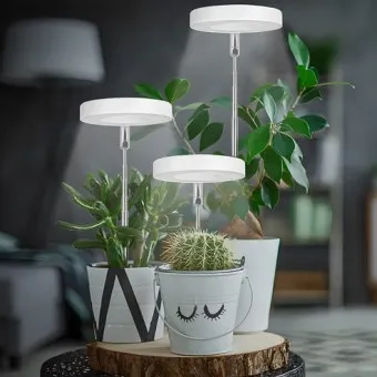 타이머 세팅 자동점등 소등루틴 식물등사용 습관 만들기 편리한 관리_9