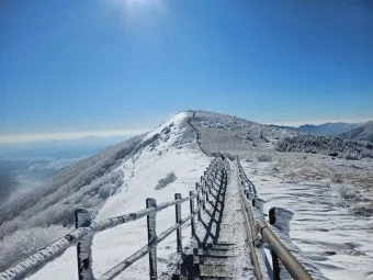 소백산 등산코스 죽령 연화봉 비로봉 어의곡 종주 완벽 가이드_17