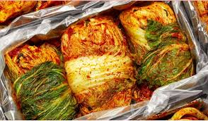 김장 김치 보관법 효능 김치 유산균