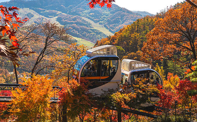 화담숲 2025 가을 시즌 예매 오픈 – 일정·가격·예약방법 총정리 관련 사진