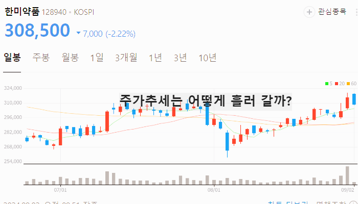 위고비 관련주 대장주 TOP10