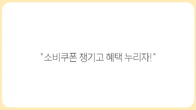 민생회복 소비쿠폰 한눈에 알아보인 신청 가이드