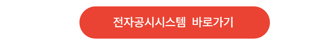 전자공시시스템