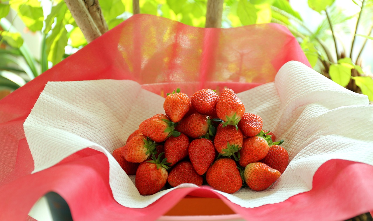 텃밭에서 딸기 키우기: 봄에 심고 여름에 수확하는 팁