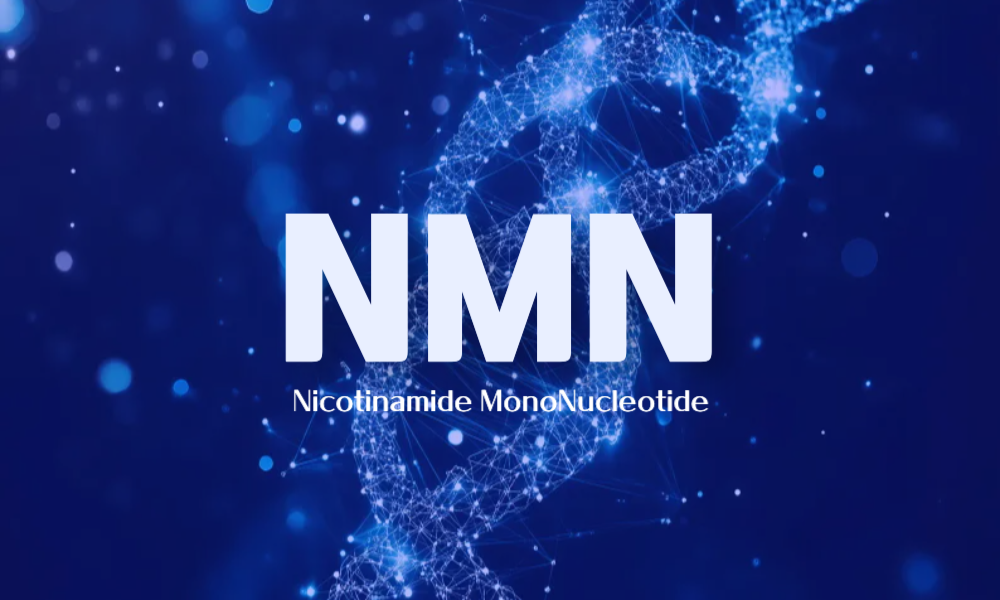 세포 건강의 핵심, 시르투인 활성화하는 NMN의 비밀