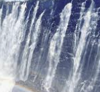 ISFP 유형 특징 분석