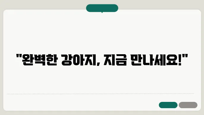 강아지 입양 시기 잘 선택하기