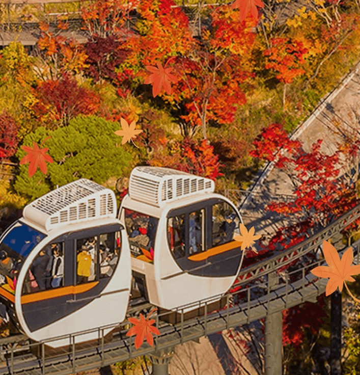 화담숲 단풍 시기