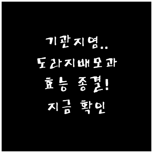 기관지 염증 완화에 좋은 도라지 배 ..