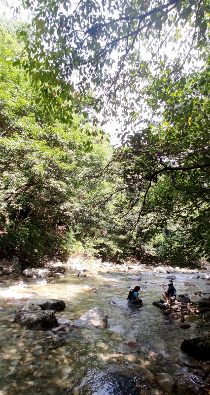 발목정도의 발담그고 놀기 좋은 계곡