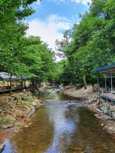 국립 용현자연휴양림 산책로 계곡 물놀이