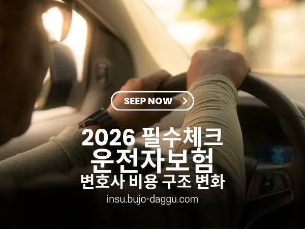 2026년 운전자보험 가입 전 반드시 확인해야 할 것