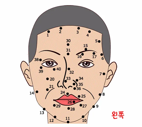 얼굴 점 위치별 관상 의미_1