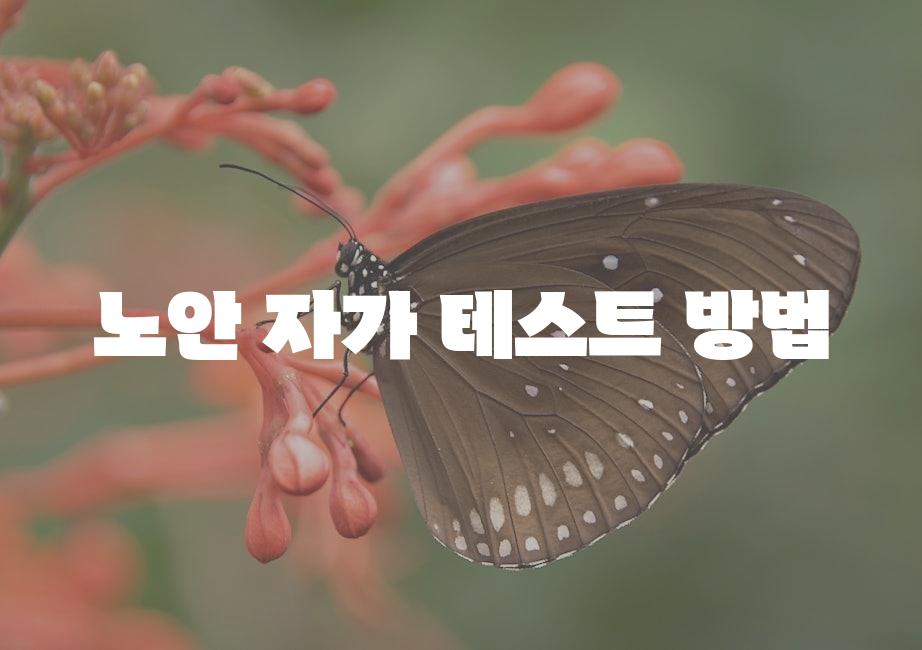 샘플 (51)