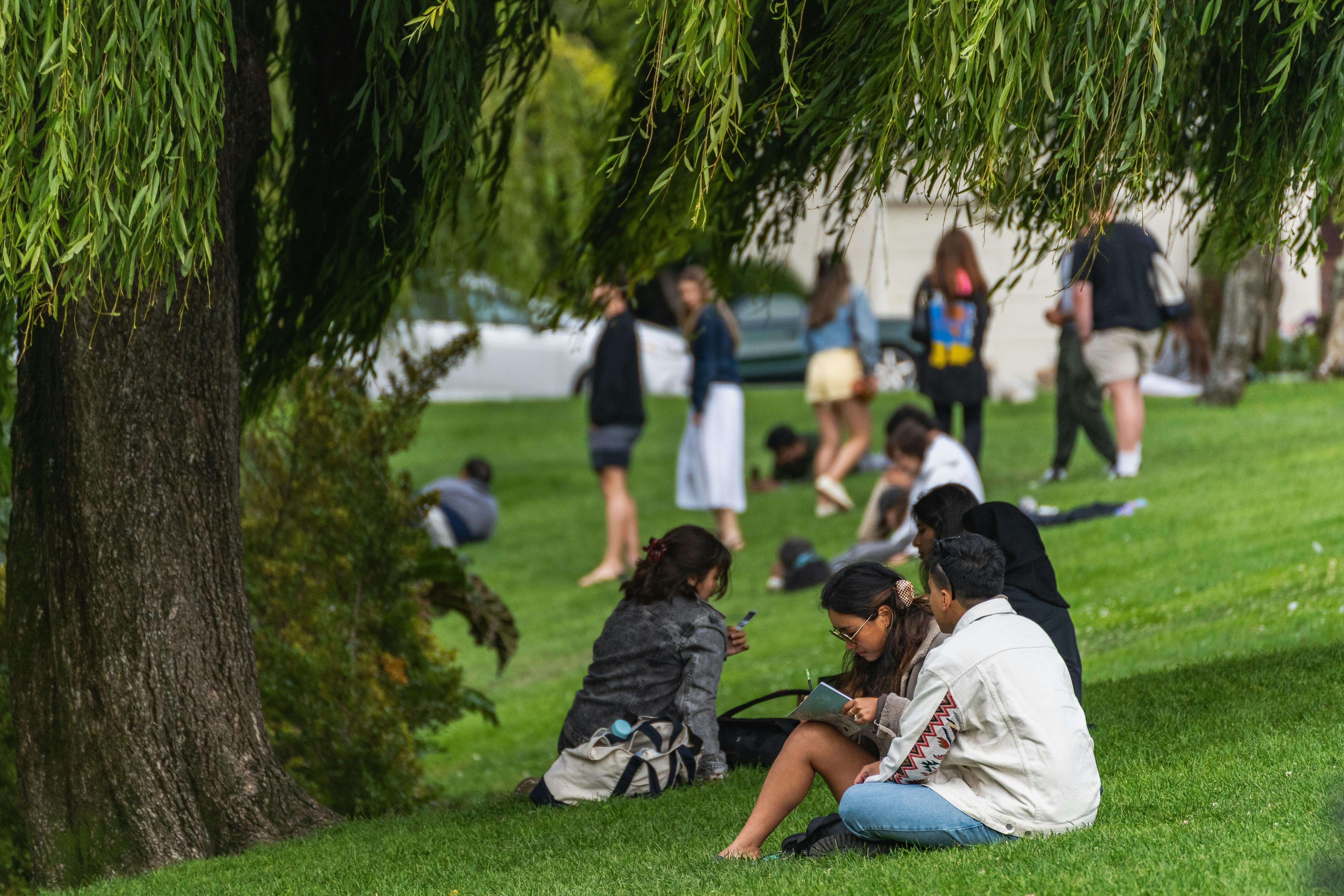 국가근로장학금 지급일