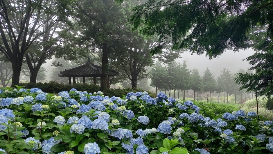 보성 가볼만한곳 베스트10