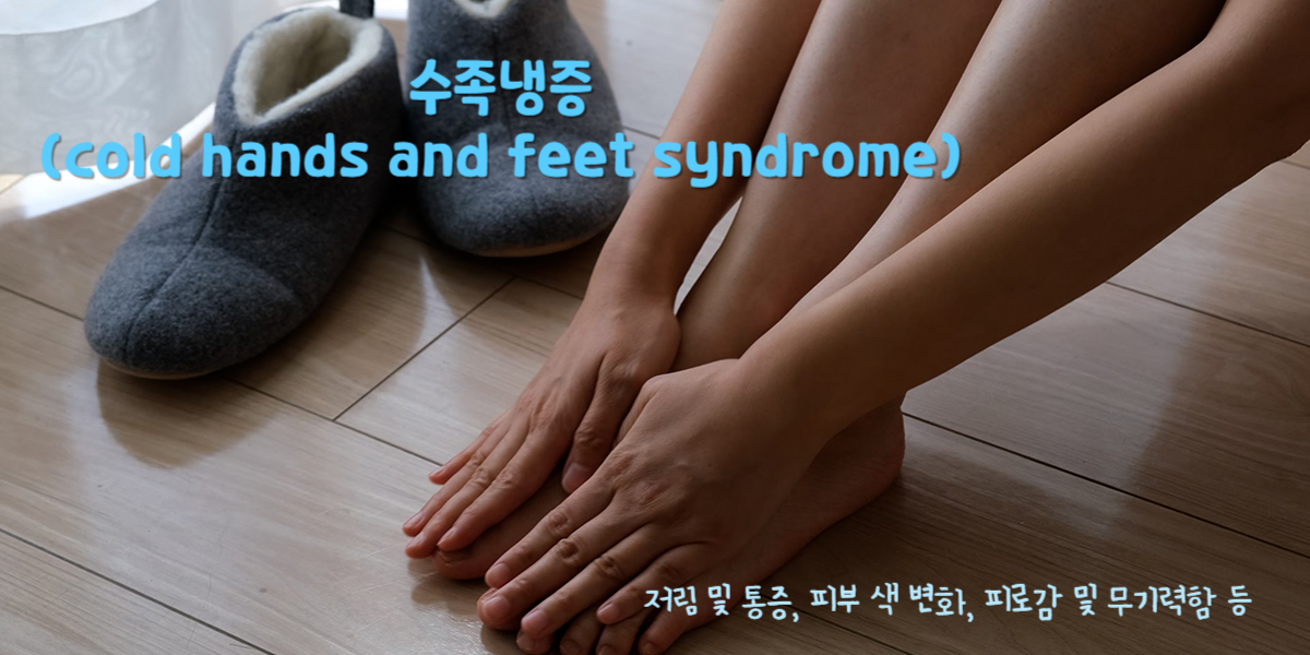 수족냉증(cold hands and feet syndrome)
수족냉증 주요 증상 : 저림 및 통증, 피부 색 변화, 피로감 및 무기력함 등