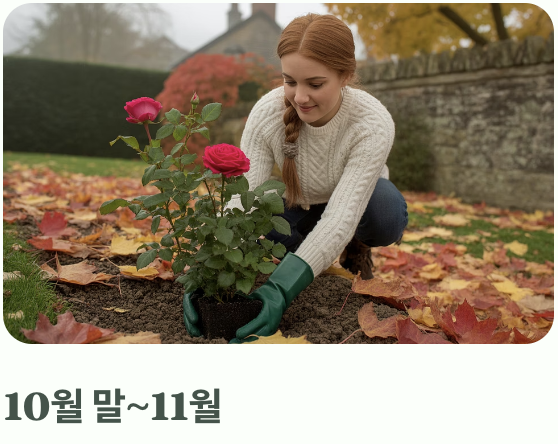 늦가을 심기: 전문가들이 선호하는 이유