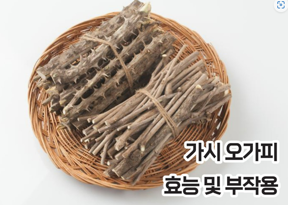 가시오가피