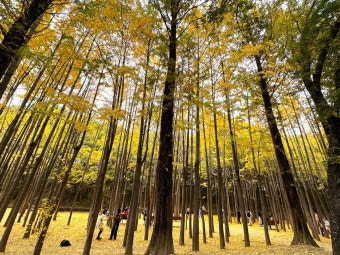 ์นดํ ์ค๋กฏ