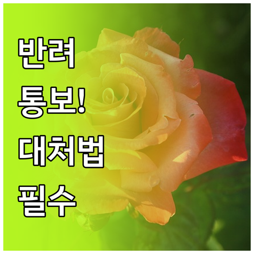 자녀장려금 반려 통보 후 대처 방법..