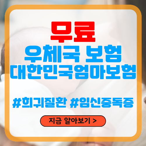 우체국 무료 보험 대한민국 엄마보험