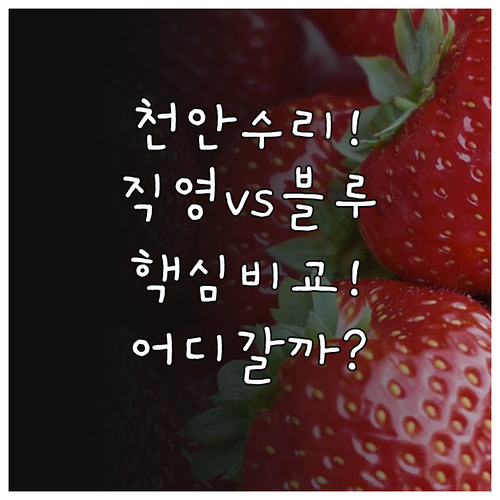 현대자동차 천안 서북구 직영 센터와 ..