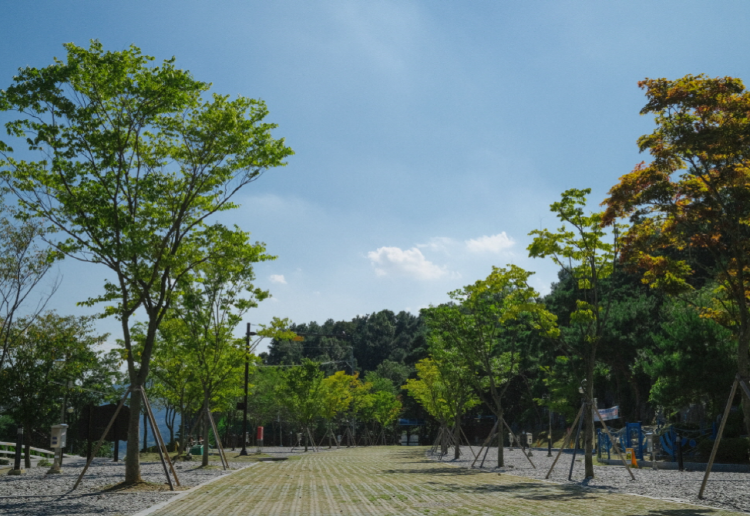 예산 국민여가캠핑장