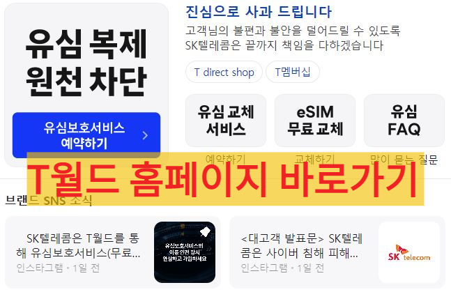 SKT 유심보호서비스 예약
