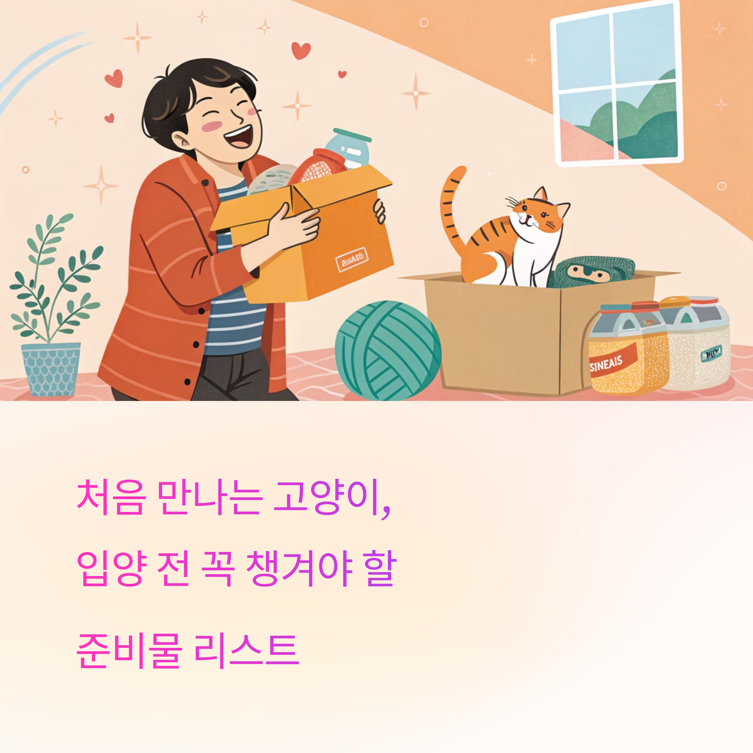 고양이, 입양 전 꼭 챙겨야 할 준비물 리스트