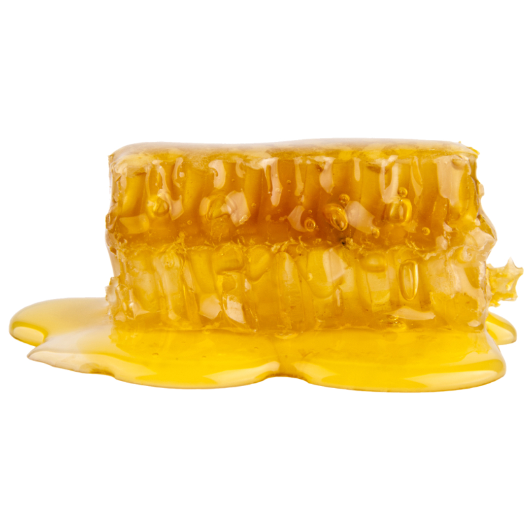 프로폴리스와 관련된 사진입니다.