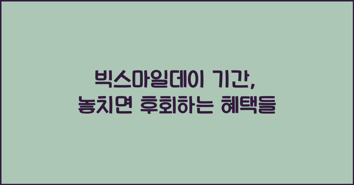 빅스마일데이 기간