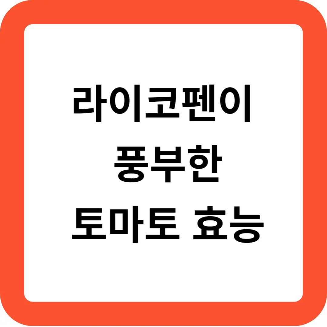 라이코펜이 풍부한 토마토 효능 추천