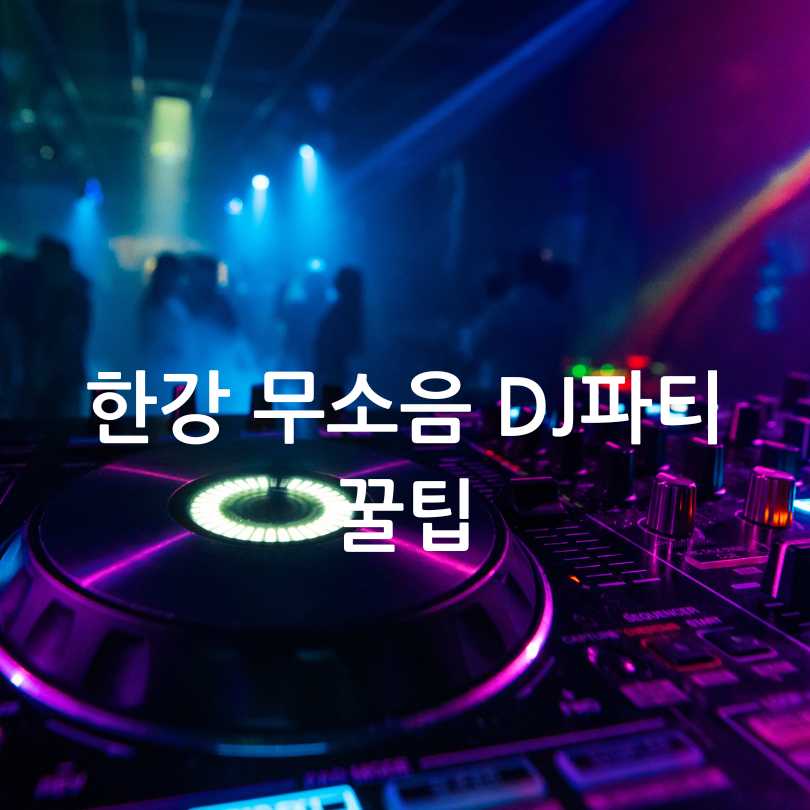 한강 무소음 DJ파티
