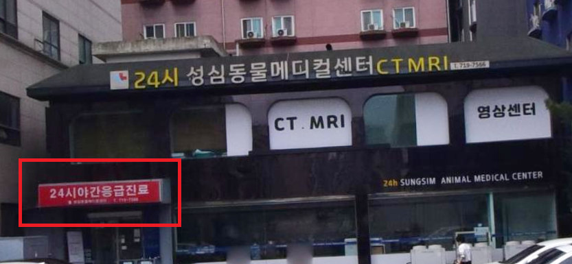 24시 동물병원 찾기 (내 근처 동물병원 찾기)