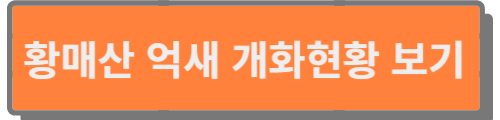 황매산 억새 개화현황 보기