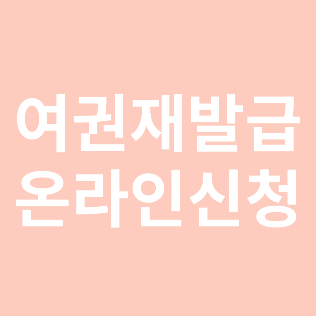 여권 재발급 온라인 신청