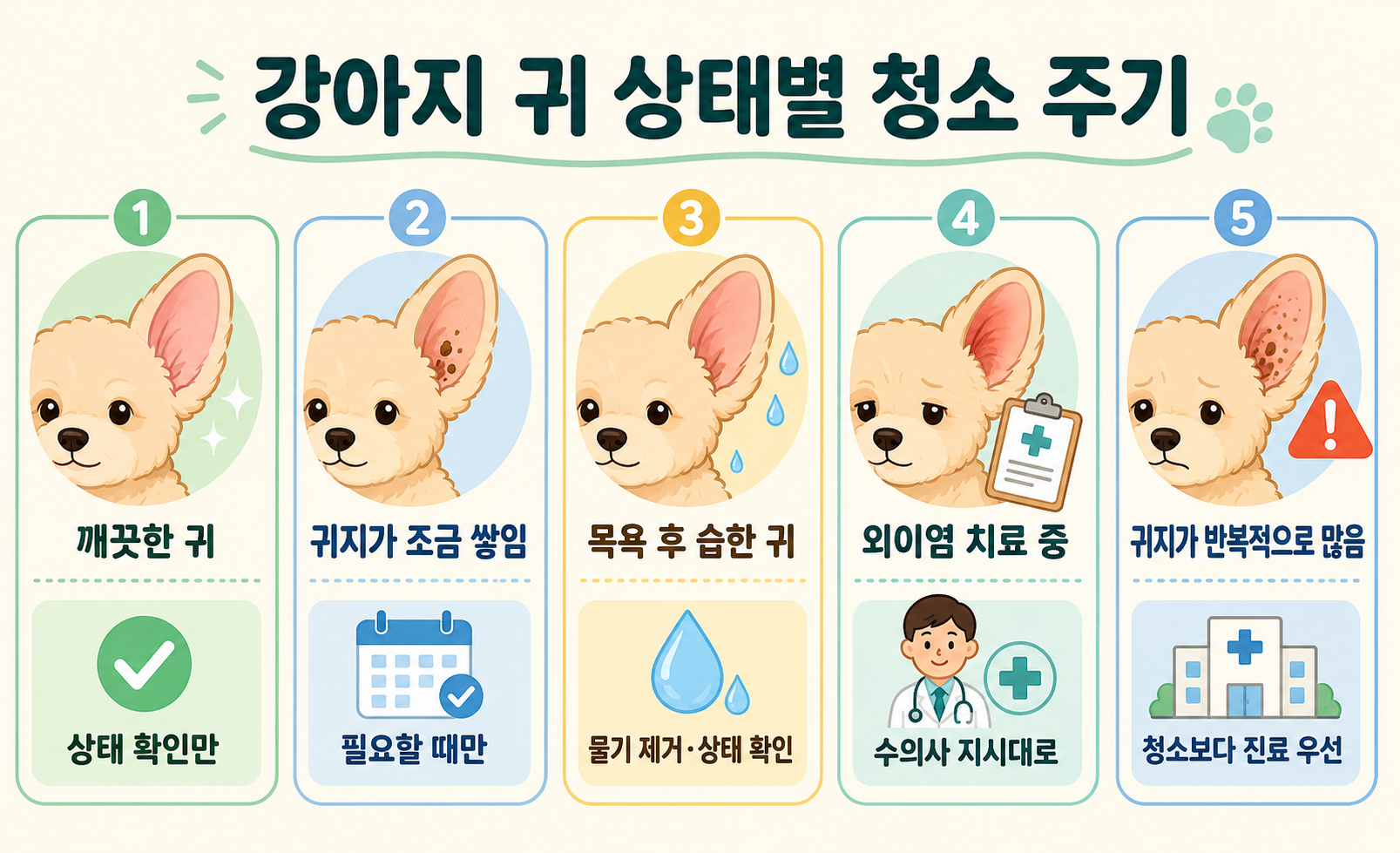 강아지 귀 청소 주기와 귀 상태별 관리 방법 이미지