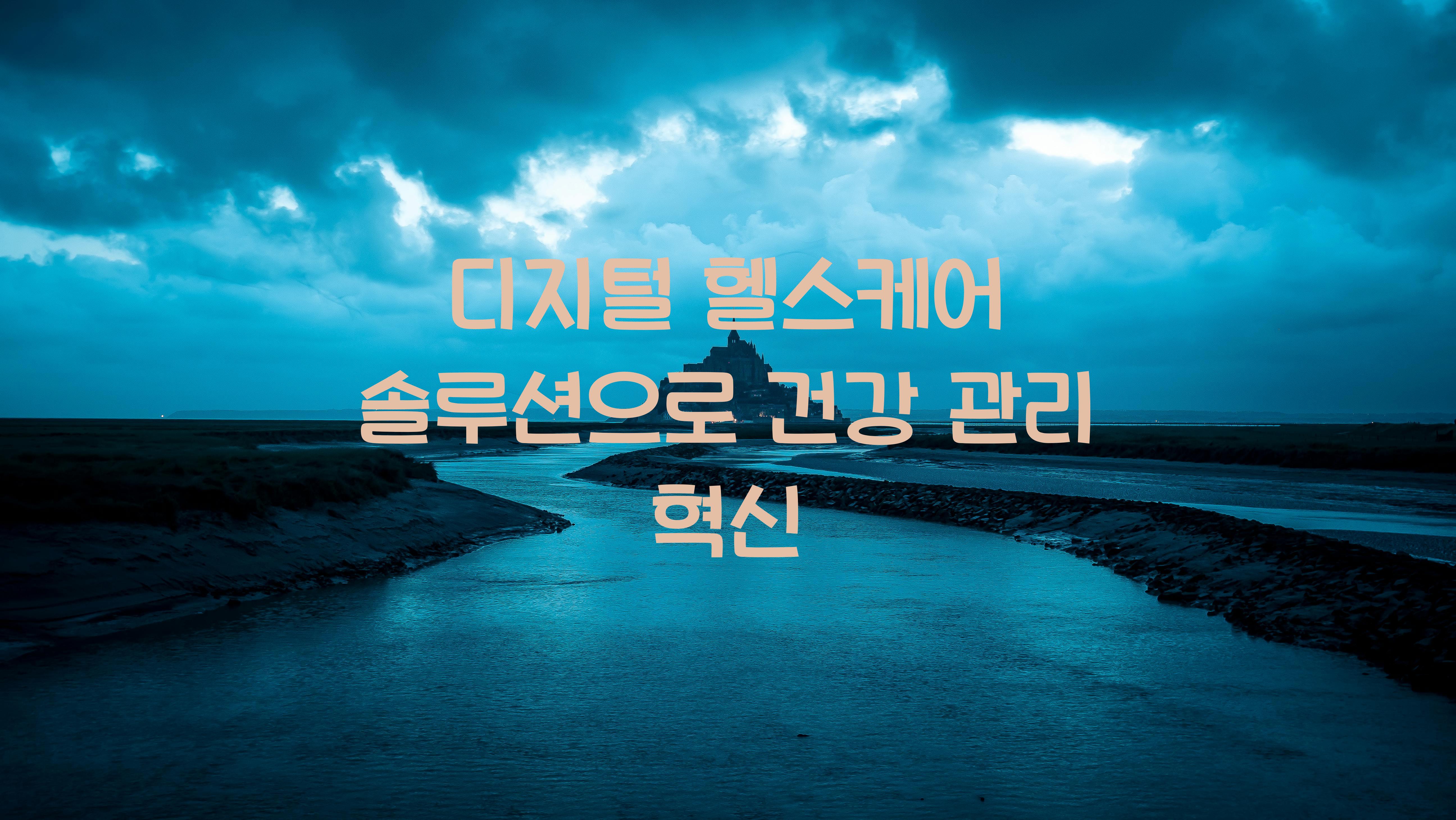 디지털 헬스케어 솔루션  
