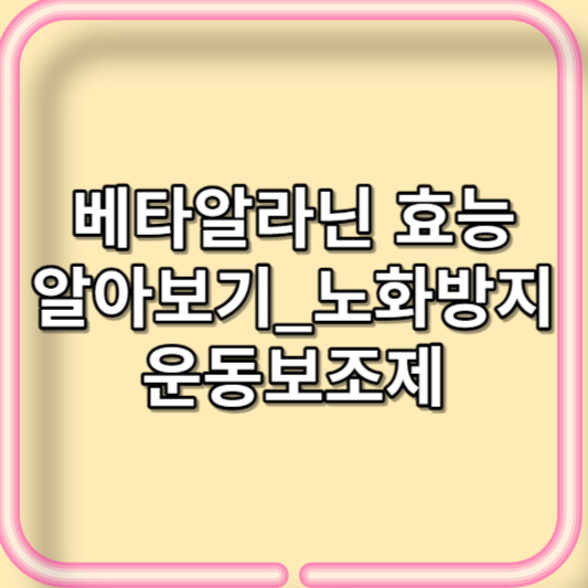 베타알라닌 효능 효과_노화방지_운동보조제