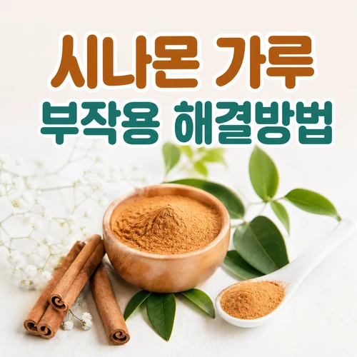 시나몬 가루 부작용 해결방법