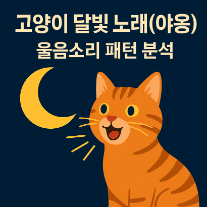 고양이의 울음소리 해석법 : 밤의 야옹, 감정과 건강 신호까지