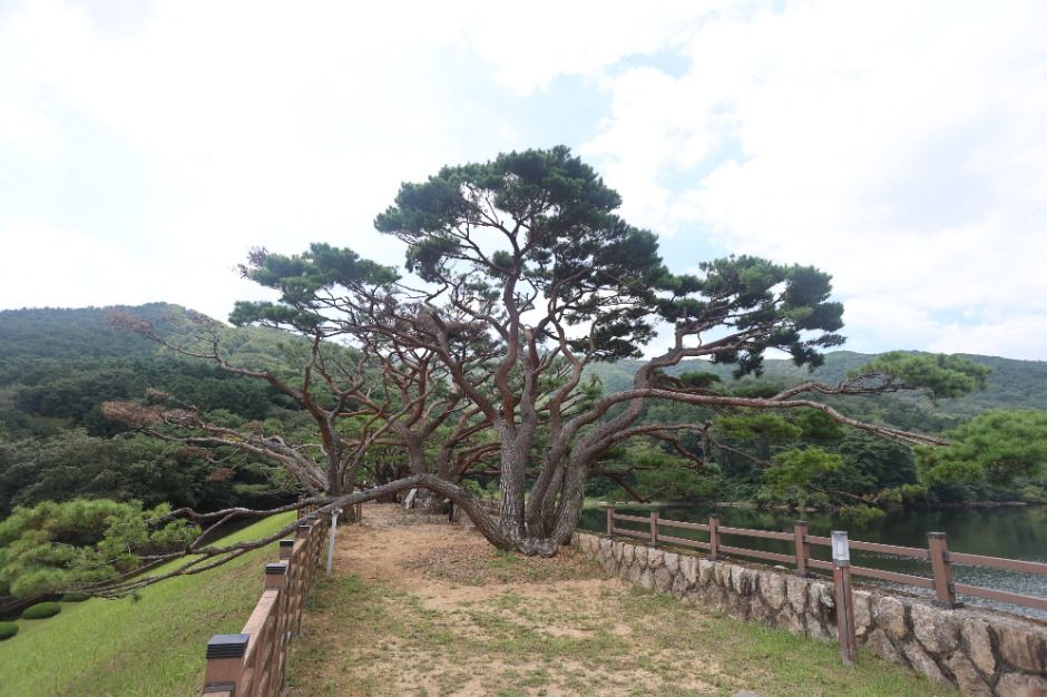 양산 가볼만한곳 베스트10