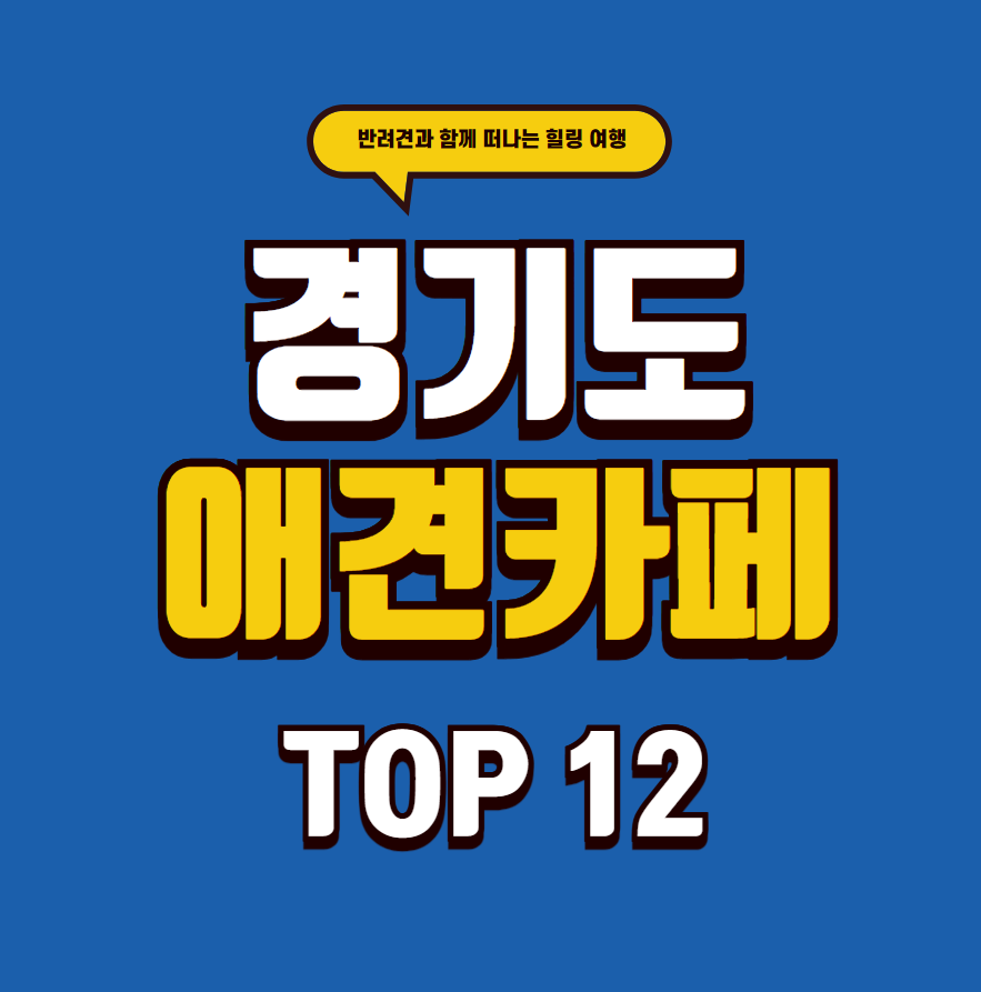 경기도 애견카페 추천 12곳! 반려견과 함께 놀러가기 좋은 곳