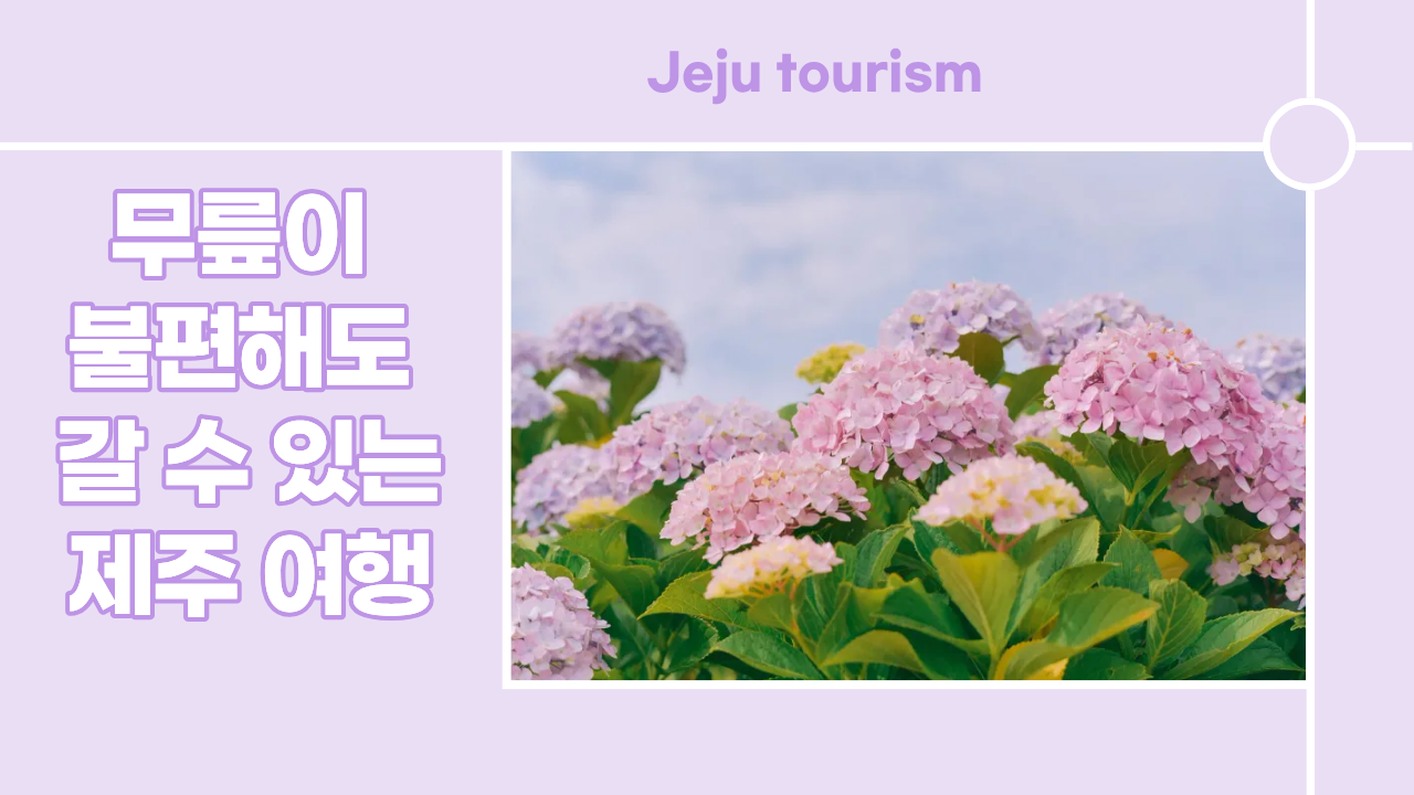 무릎이 불편해도 갈 수 있는 제주 여행 코스