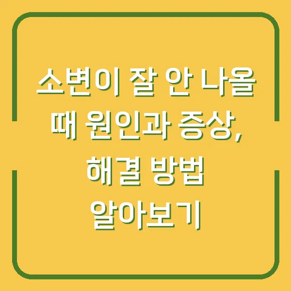 소변이 잘 안 나올 때 원인과 증상, 해결 방법 알아보기