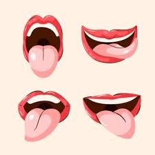 입안이 쓴 이유