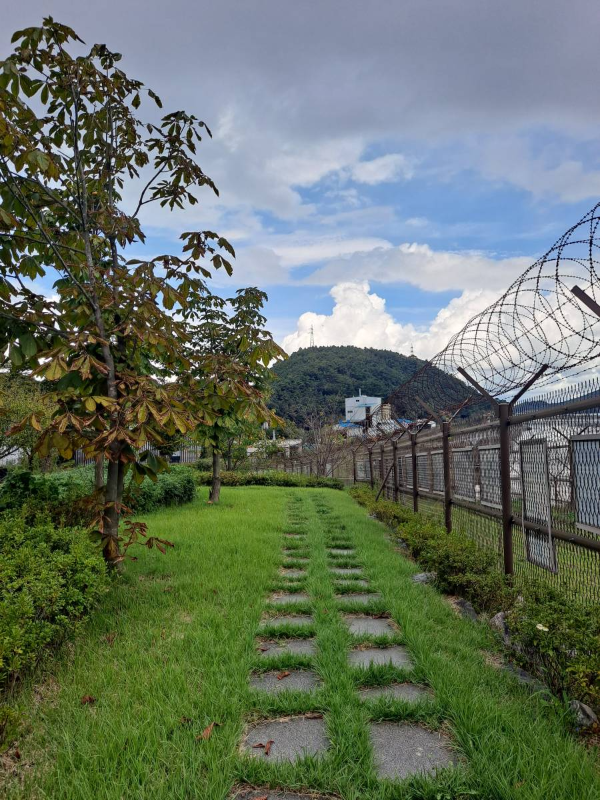 기념공원 잔디밭 돌길