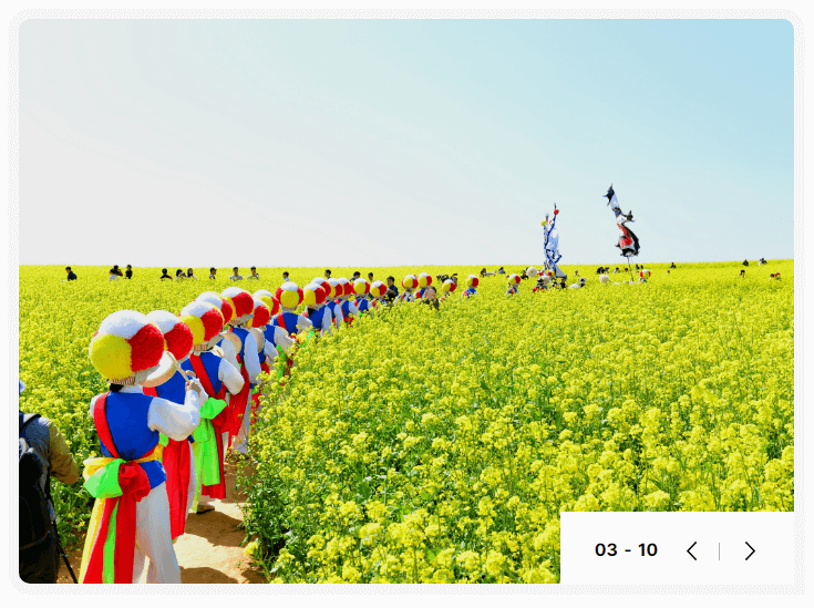 고창청보리밭축제